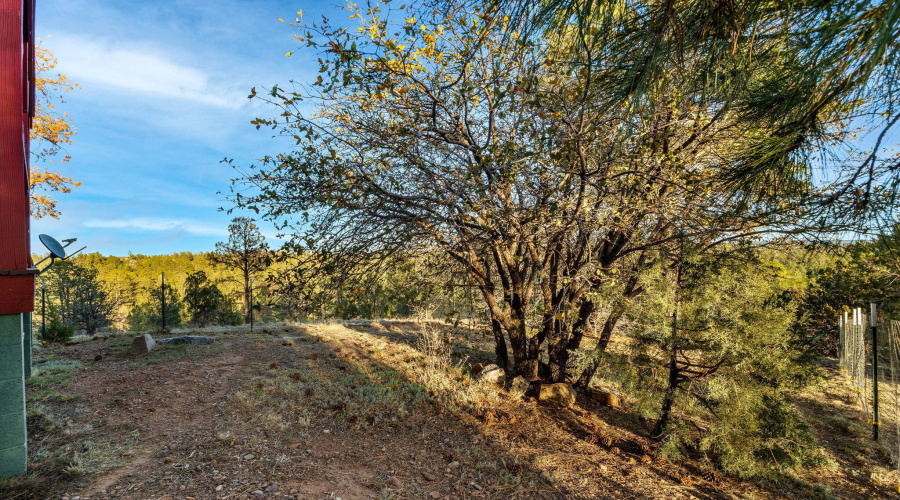 2901RidgeCircle-Heber-AZ-24