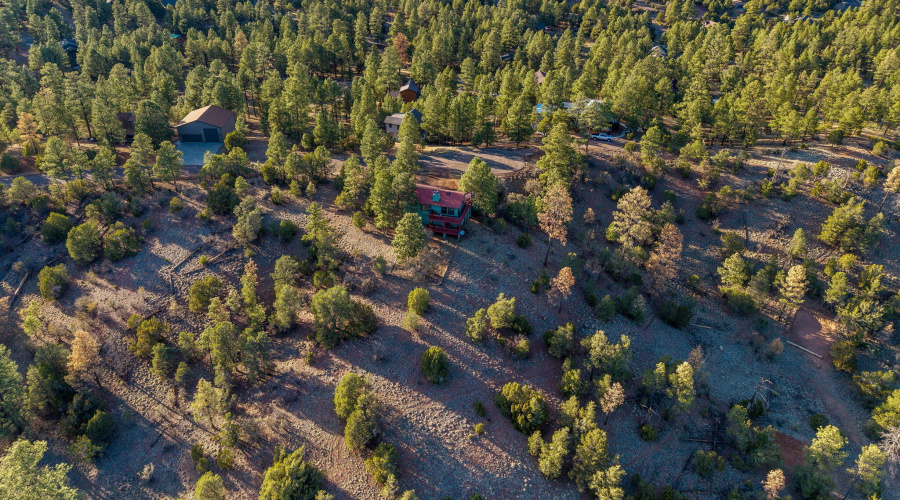 2901RidgeCircle-Heber-AZ-33