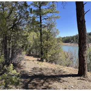 48 Acre 9
