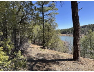TBD Show Low Lake Road, Show Low, Arizona 85901, ,Land,For Sale,Show Low Lake Road,255715