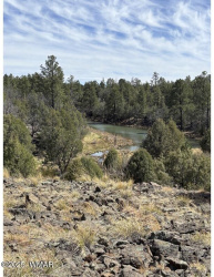 TBD Show Low Lake area, Show Low, Arizona 85901, ,Land,For Sale,Show Low Lake area,255716