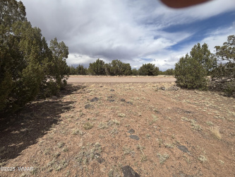 8659 CORONADO Drive, Show Low, Arizona 85901, ,Land,For Sale,CORONADO,255712