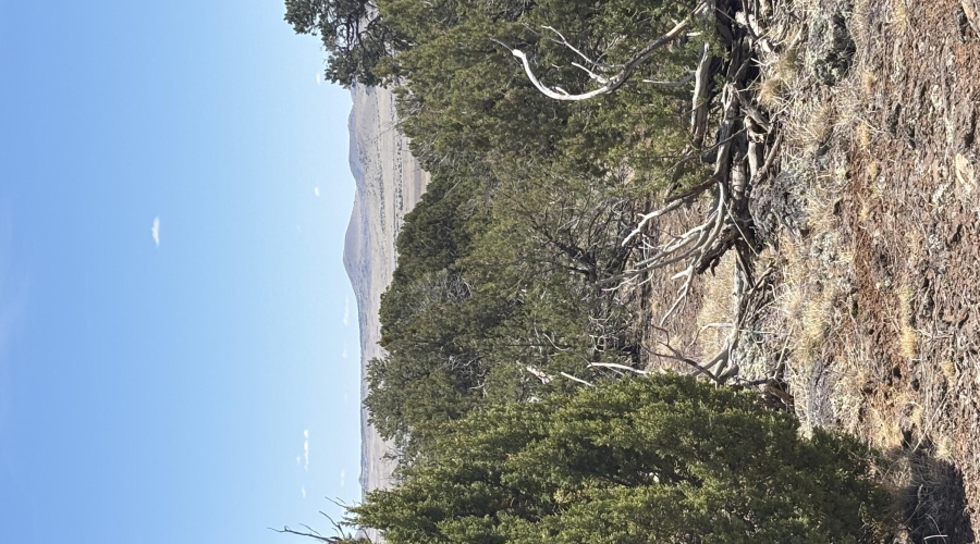 Cinder Cones In the Distance