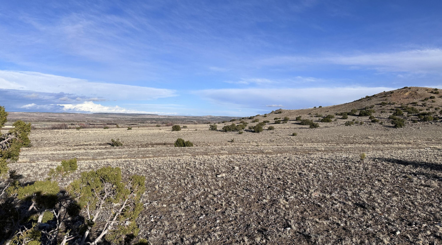 -002D Images towards southern portion