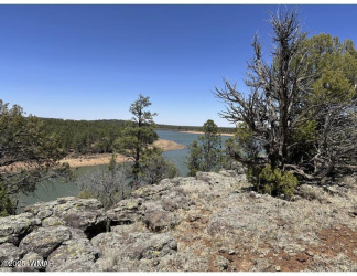 TBD East side of Show Low Lake, Show Low, Arizona 85901, ,Land,For Sale,East side of Show Low Lake,255718
