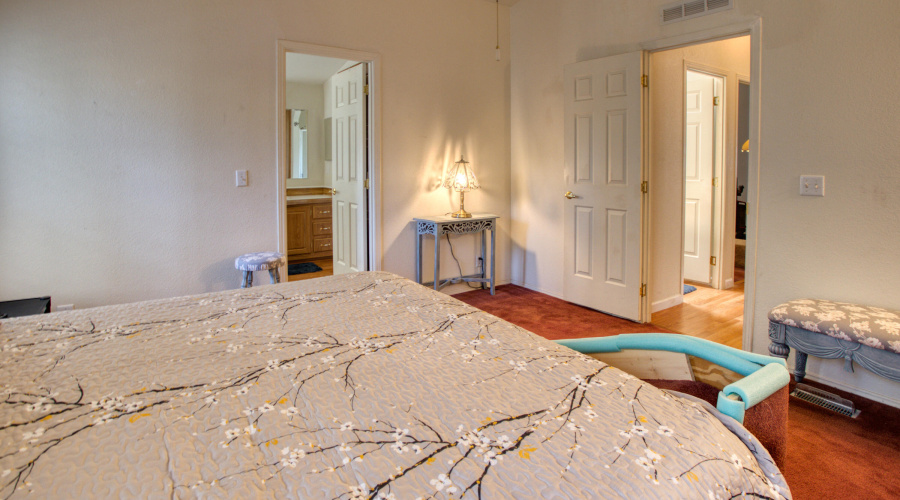 Paxmanphoto_PAX_0629