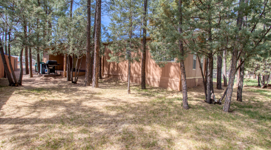 Paxmanphoto_PAX_0644