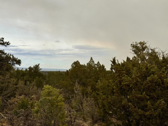 3585 Meadow wood Drive, Happy Jack, Arizona 86024, ,Land,For Sale,Meadow wood,92162