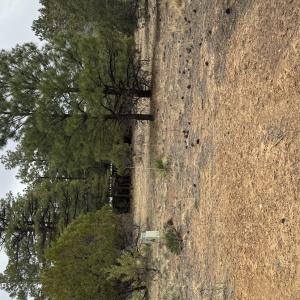Front of the property