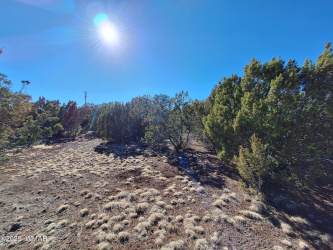 TBD N3119 Street, Vernon, Arizona 85940, ,Land,For Sale,N3119,255127