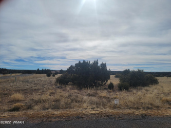 1961 Creekside Circle, Show Low, Arizona 85901, ,Land,For Sale,Creekside,251137