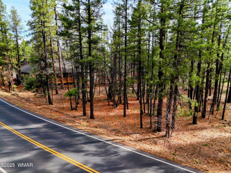 6025 Buck Springs Road, Pinetop, Arizona 85935, ,Land,For Sale,Buck Springs,255773