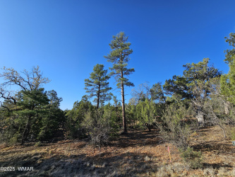 801 Sierra Pines Drive, Show Low, Arizona 85901, ,Land,For Sale,Sierra Pines,255747