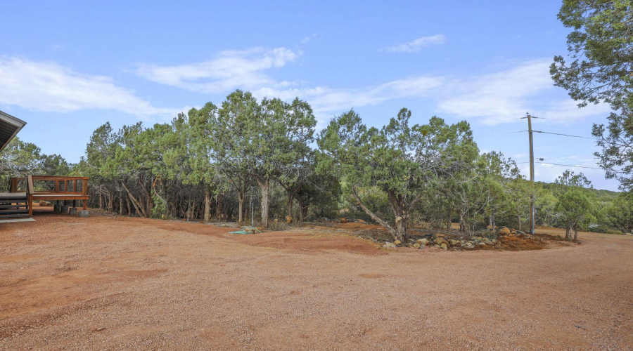 Driveway / front yard