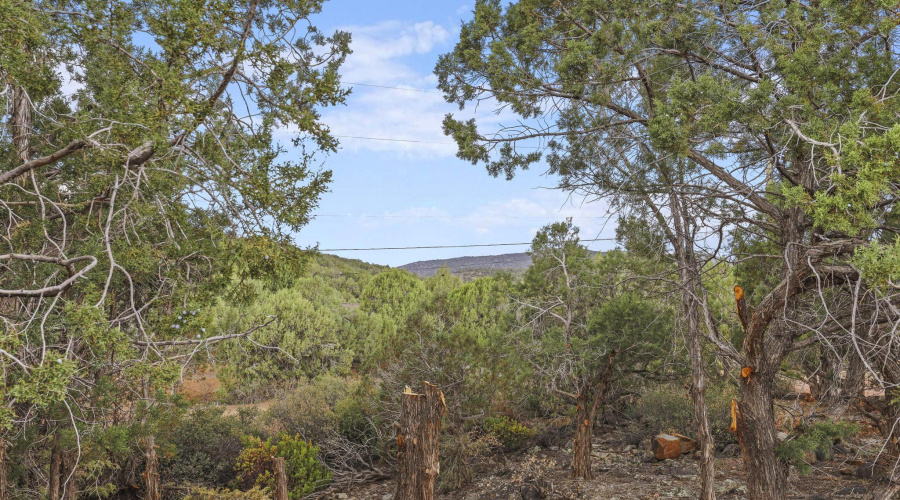 View of Table Mountain