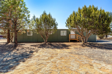 2193 Zamorano Lane, Overgaard, Arizona 85933, Bedrooms, ,Bathrooms,Residential,For Sale,Zamorano,254548
