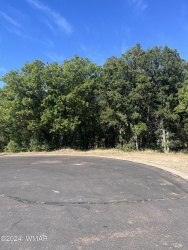 2600 Edgewater, Show Low, Arizona 85901, ,Land,For Sale,Edgewater,254957