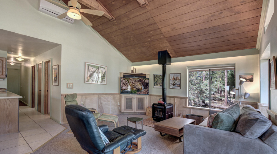 living room woodstove