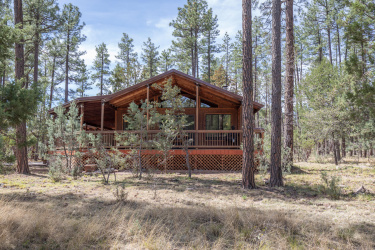 709 Old Pine Trail, Payson, Arizona 85541, Bedrooms, ,Bathrooms,Residential,For Sale,Old Pine,92191