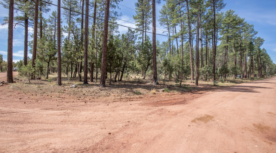 view from old pine trail