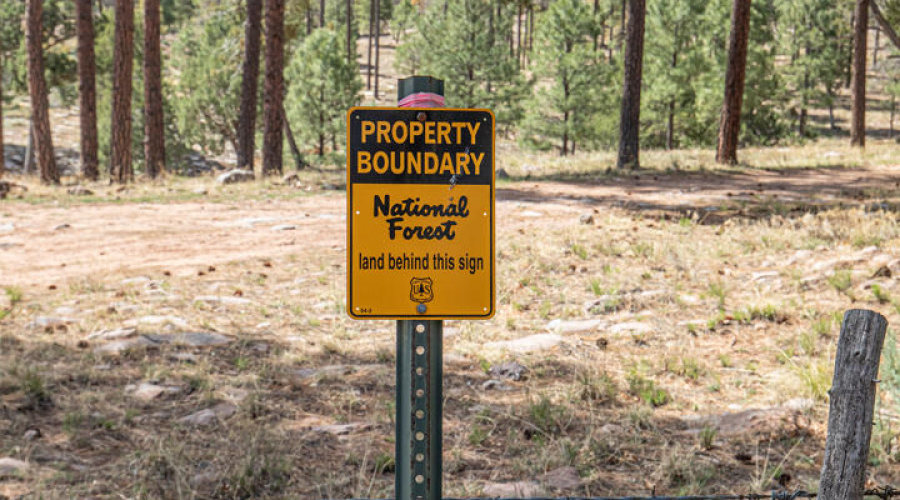 ntl forest sign
