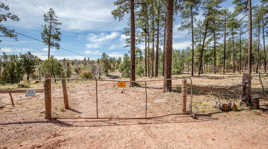 gate in to natl forest