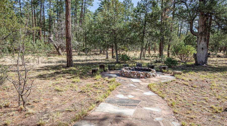 fire pit and flagstone