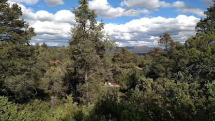 2311 Feather Plume Lane, Payson, Arizona 85541, ,Land,For Sale,Feather Plume,92189