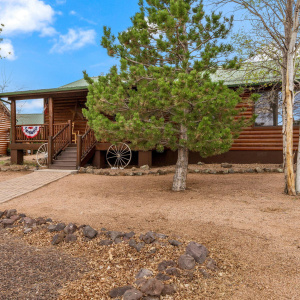 2664PalominoTrail-Overgaard-AZ-1