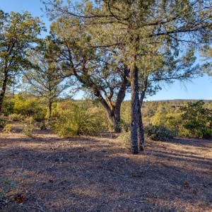 203SRimClubRd-Payson-AZ-12