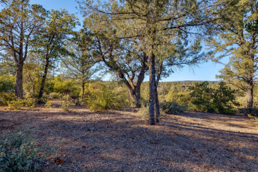 203 Rim Club Drive, Payson, Arizona 85541, ,Land,For Sale,Rim Club,90182