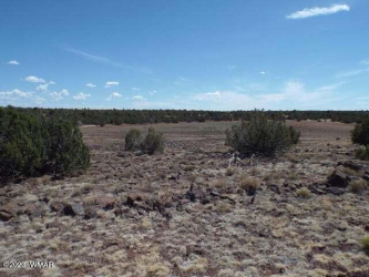 8085 County Road, Concho, Arizona 85924, ,Land,For Sale,County Road,255808