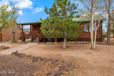 2664 Palomino Trail, Overgaard, Arizona 85933, Bedrooms, ,Bathrooms,Residential,For Sale,Palomino,255798