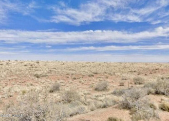 tbd 105-61-405 Az Rancho 106, Holbrook, Arizona 86025, ,Land,For Sale,105-61-405 Az Rancho 106,254845