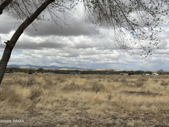 TBD Tumbling T Drive, Springerville, Arizona 85938, ,Land,For Sale,Tumbling T Drive,255819