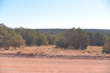 4173 Colt Road, Snowflake, Arizona 85937, ,Land,For Sale,Colt,255800