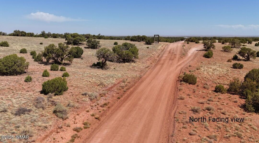 DJI_20250503100248_0029_D_inPixio (2)