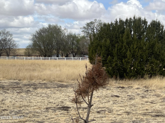 TBD Highway 60, Springerville, Arizona 85938, ,Land,For Sale,Highway 60,255815