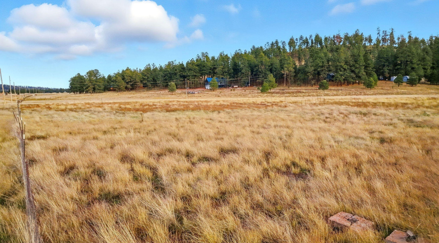 Parcel10128005J-AlpineAZ-10