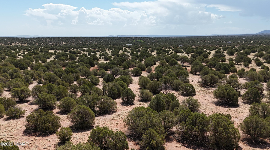 DJI_20250503100227_0027_D