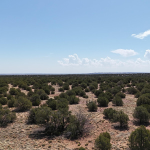 DJI_20250503094421_0024_D