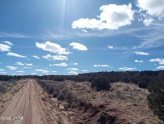 3992 Aztec, Snowflake, Arizona 85937, ,Land,For Sale,Aztec,255792