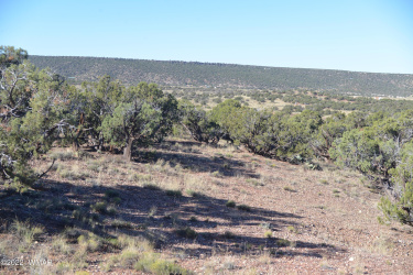 4389 Sorrel Road, Snowflake, Arizona 85937, ,Land,For Sale,Sorrel,255796