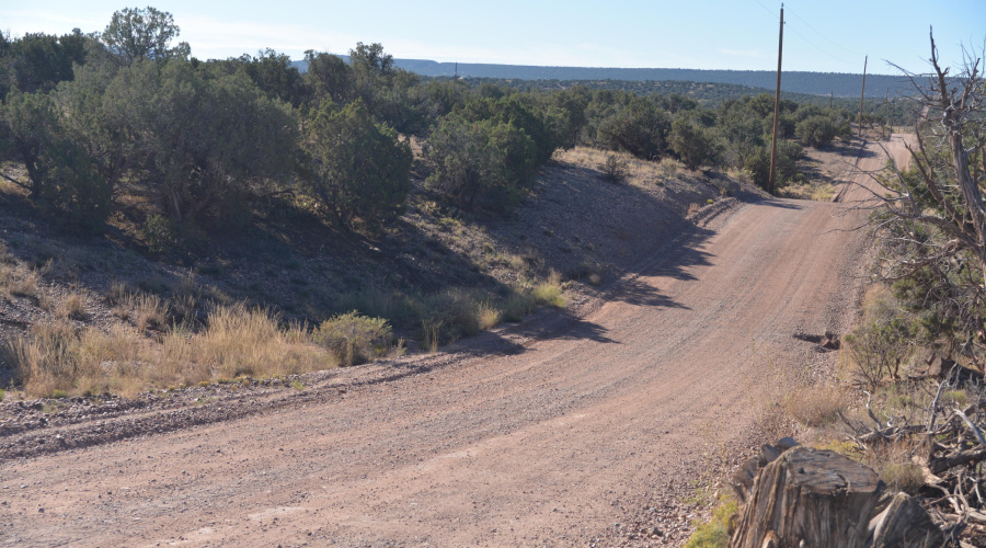 Ranch of the Golden Horse 008