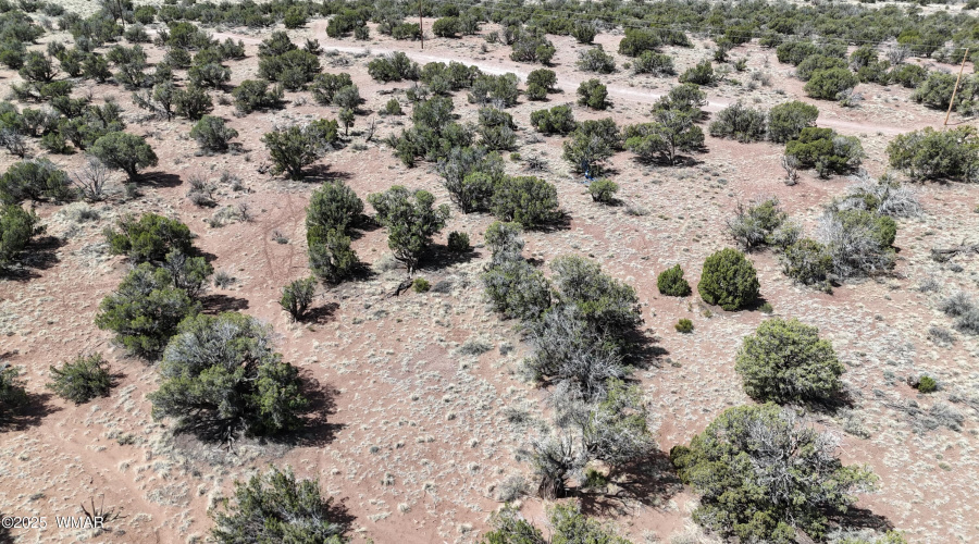 DJI_20250503102242_0033_D