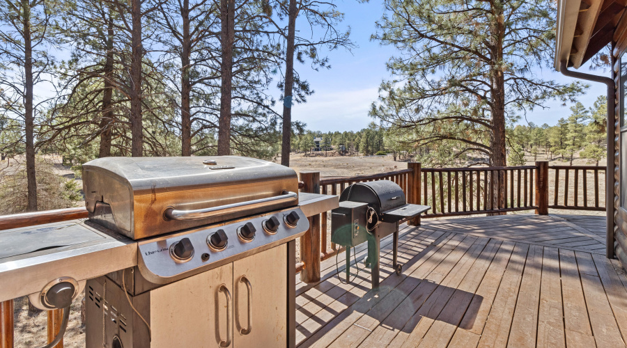 2802 Zane Grey, Overgaard (49)