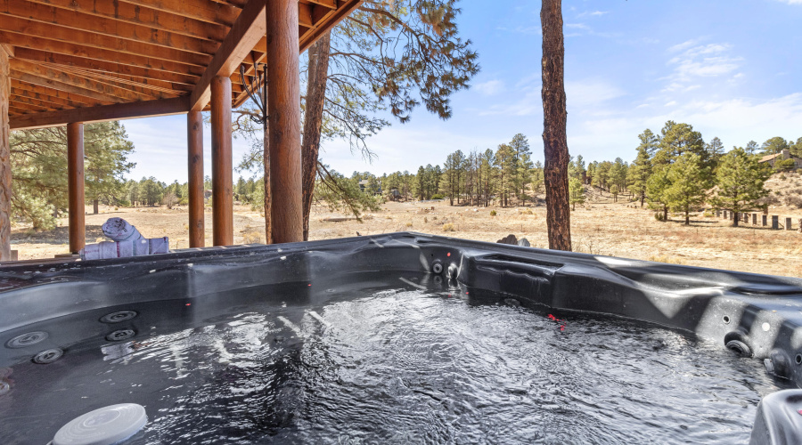 2802 Zane Grey, Overgaard (42)