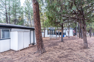 3107 White Mountain Boulevard, Lakeside, Arizona 85929, ,Commercial,For Sale,White Mountain,255836