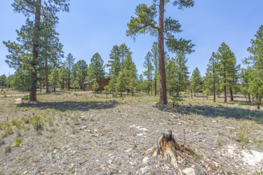 2906 Durango Drive, Happy Jack, Arizona 86024, ,Land,For Sale,Durango,92207