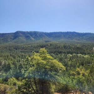 Hilltop-1